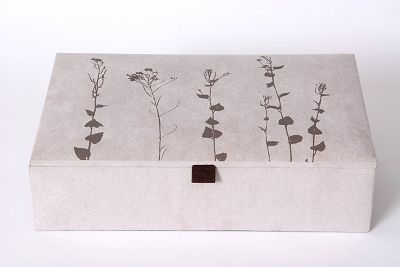 elegant decor - ELEGANT DECOR SUEDE JEWELLERY BOX 